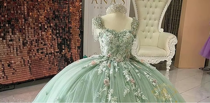 Crystals 3D Floral Appliques Quinceanera Dress