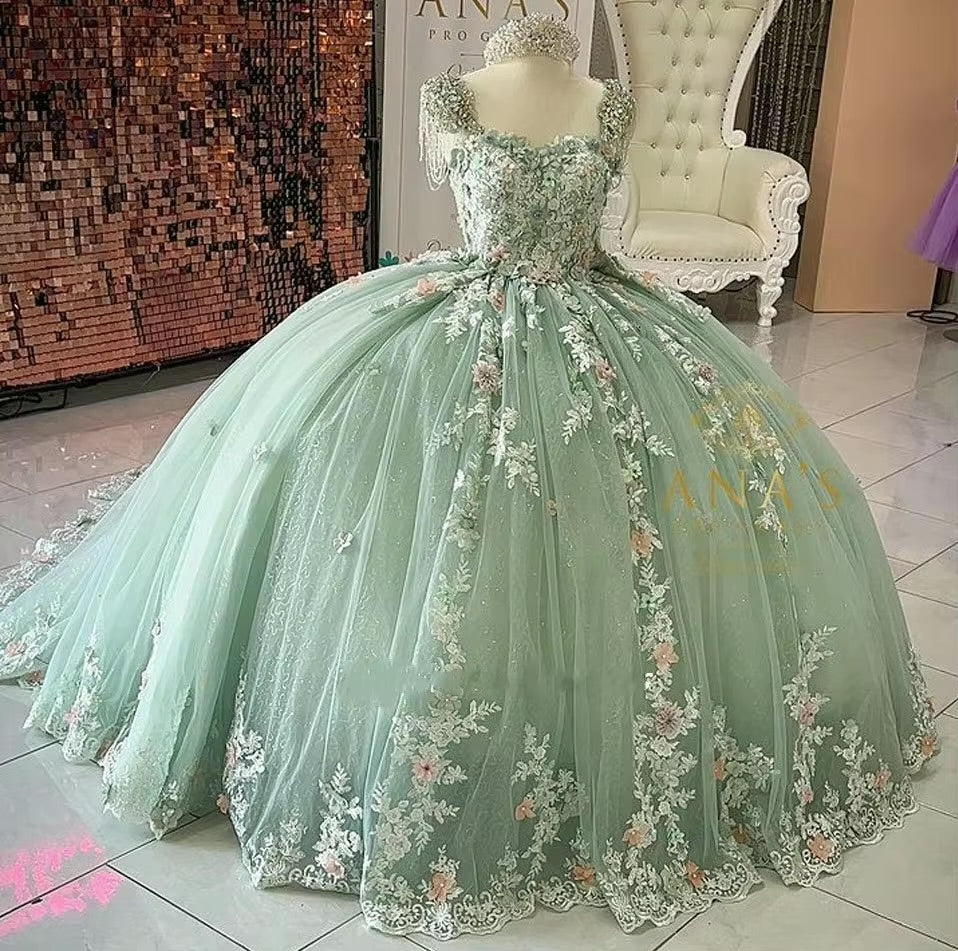 Crystals 3D Floral Appliques Quinceanera Dress