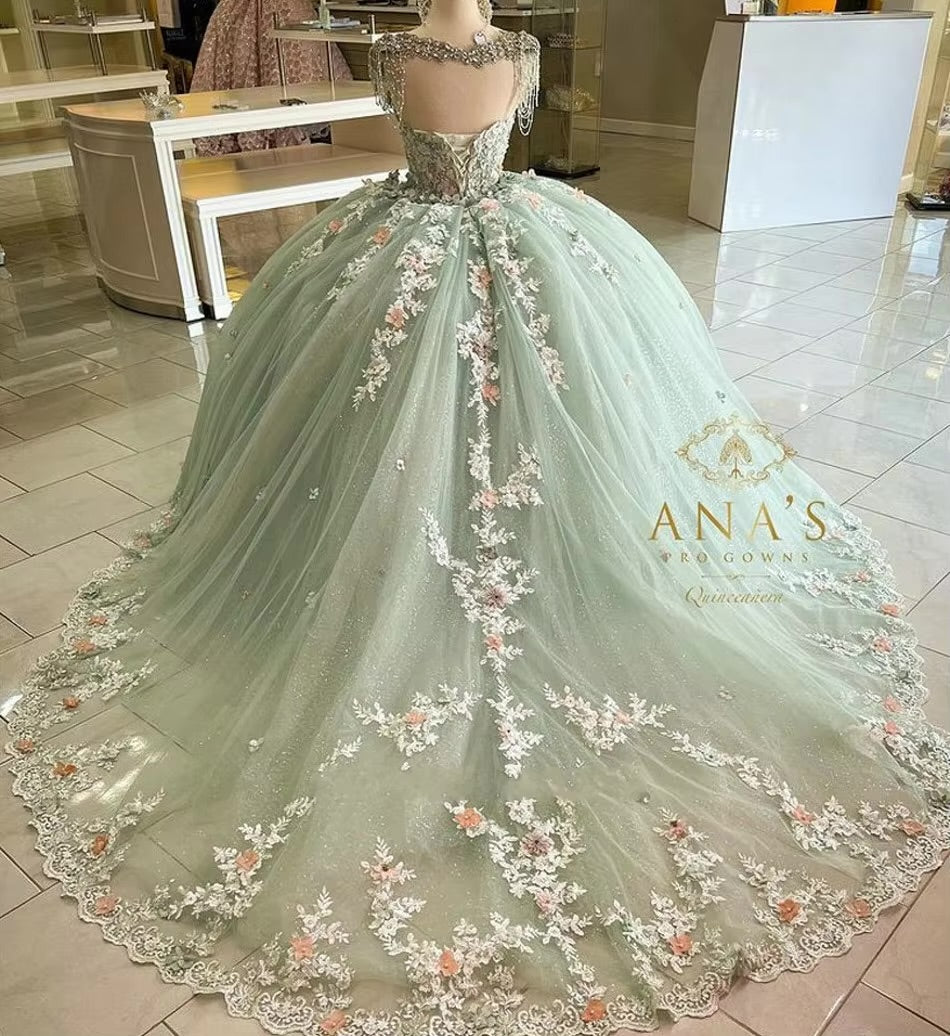 Crystals 3D Floral Appliques Quinceanera Dress