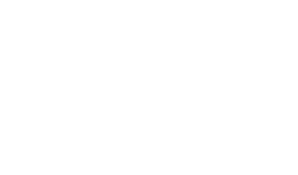 Fashion Wiz Logo