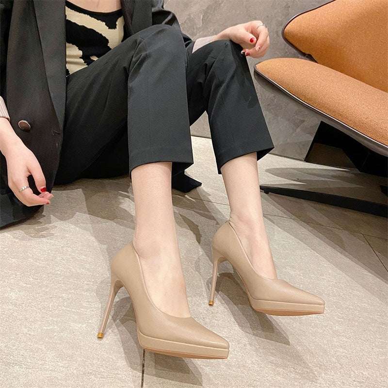 Pointed Toe 10cm Stiletto High Heels