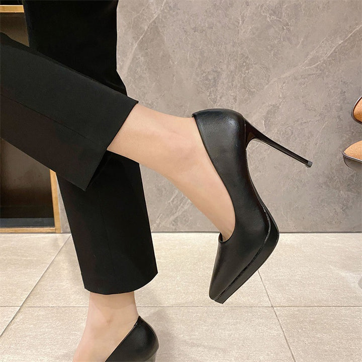 Pointed Toe 10cm Stiletto High Heels