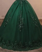 Luxury Lace Ball Gown Quinceanera Dress