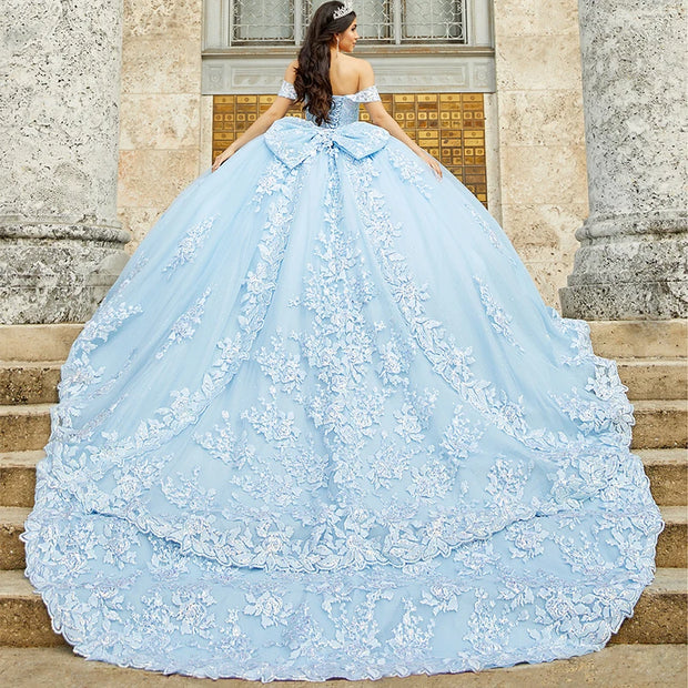 Appliques Ball Gown Quinceanera Dress