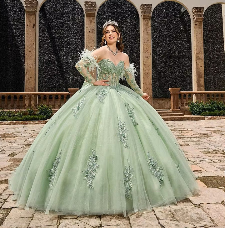 Charming Ball Gown Feathers Appliques Quinceanera Dress